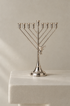 חנוכיית חב״ד | כסף טהור 51 ס״מ